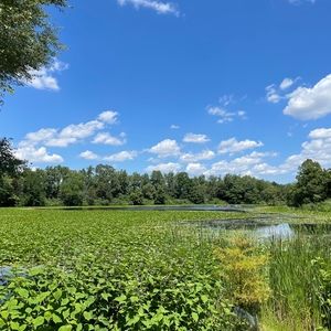Meet your Posher, Blake
